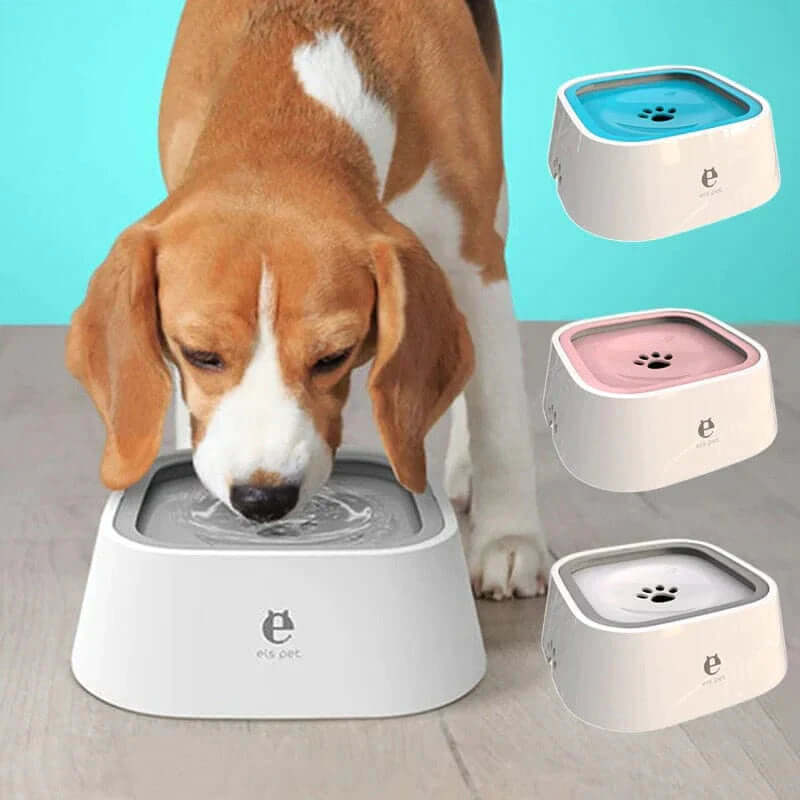 Dog drinking from a floating dog water bowl, available in multiple colors, designed to reduce splashing and mess.